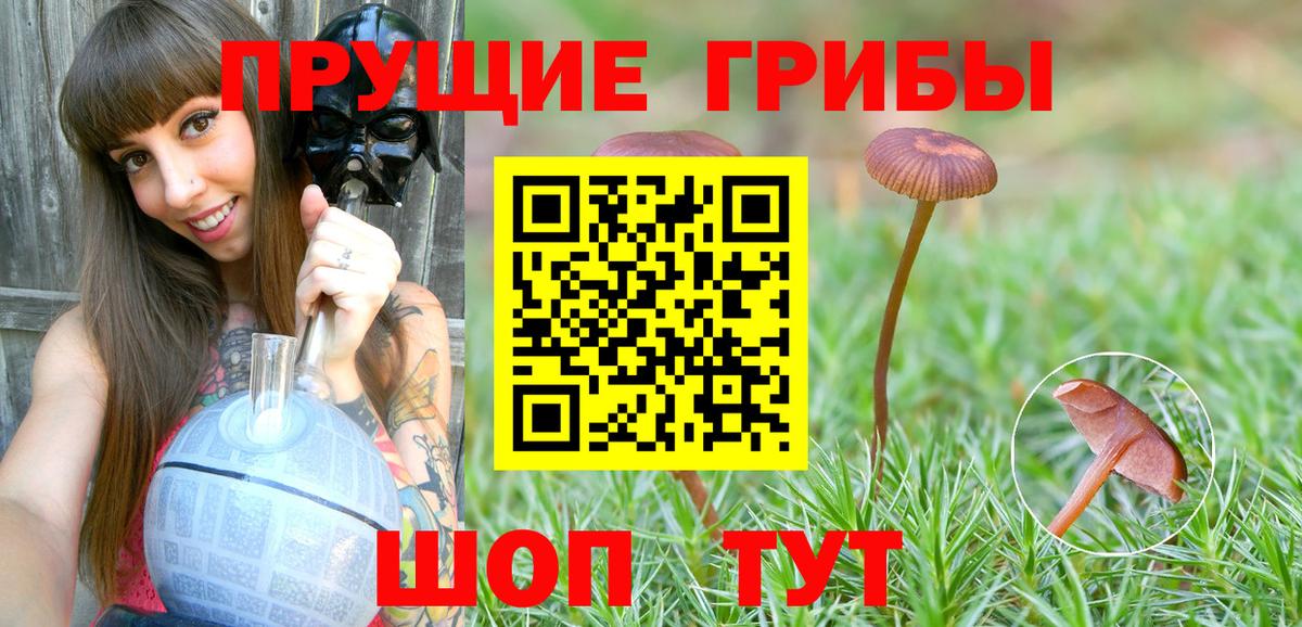 Нижний Новгород  Псилоцибиновые грибы Psilocybine cubensis  Псилоцибиновые грибы Magic Shrooms  Вход с VPN 